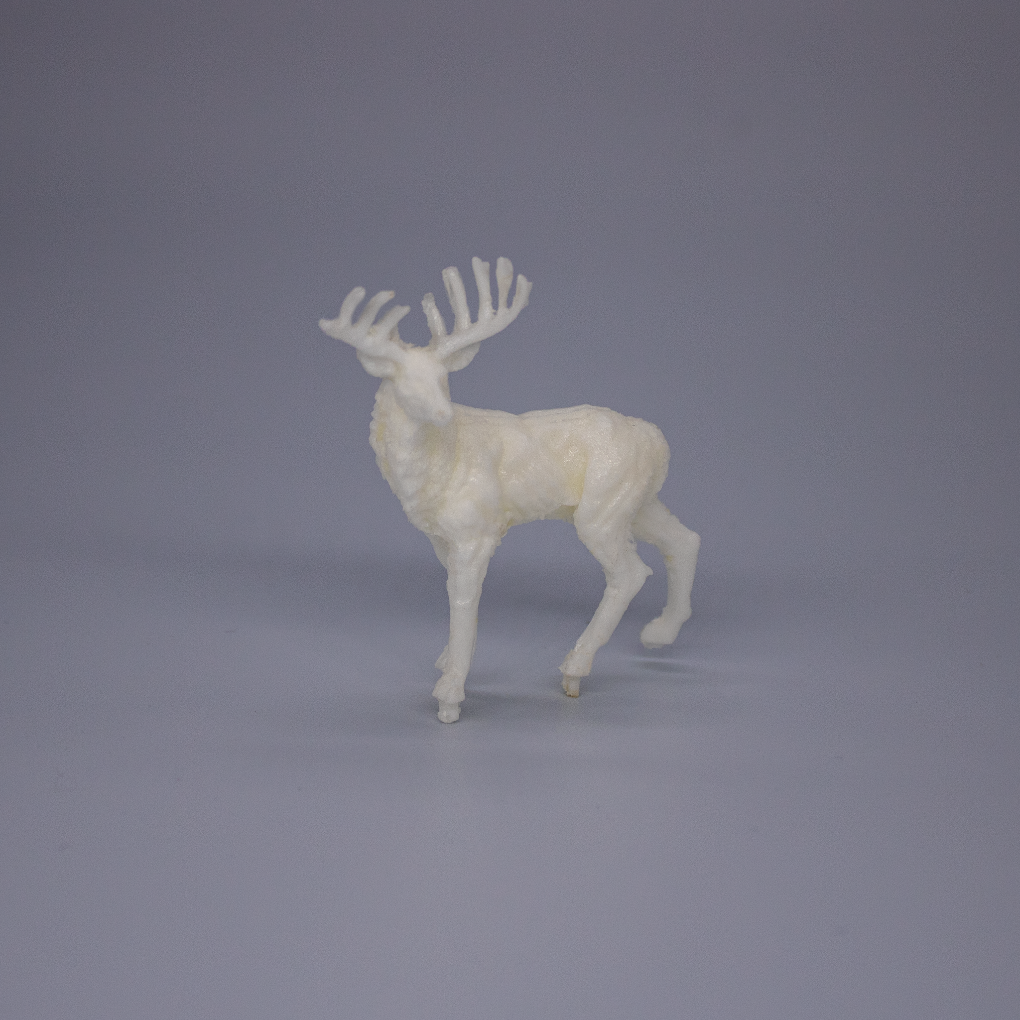 Stag - UNPAINTED