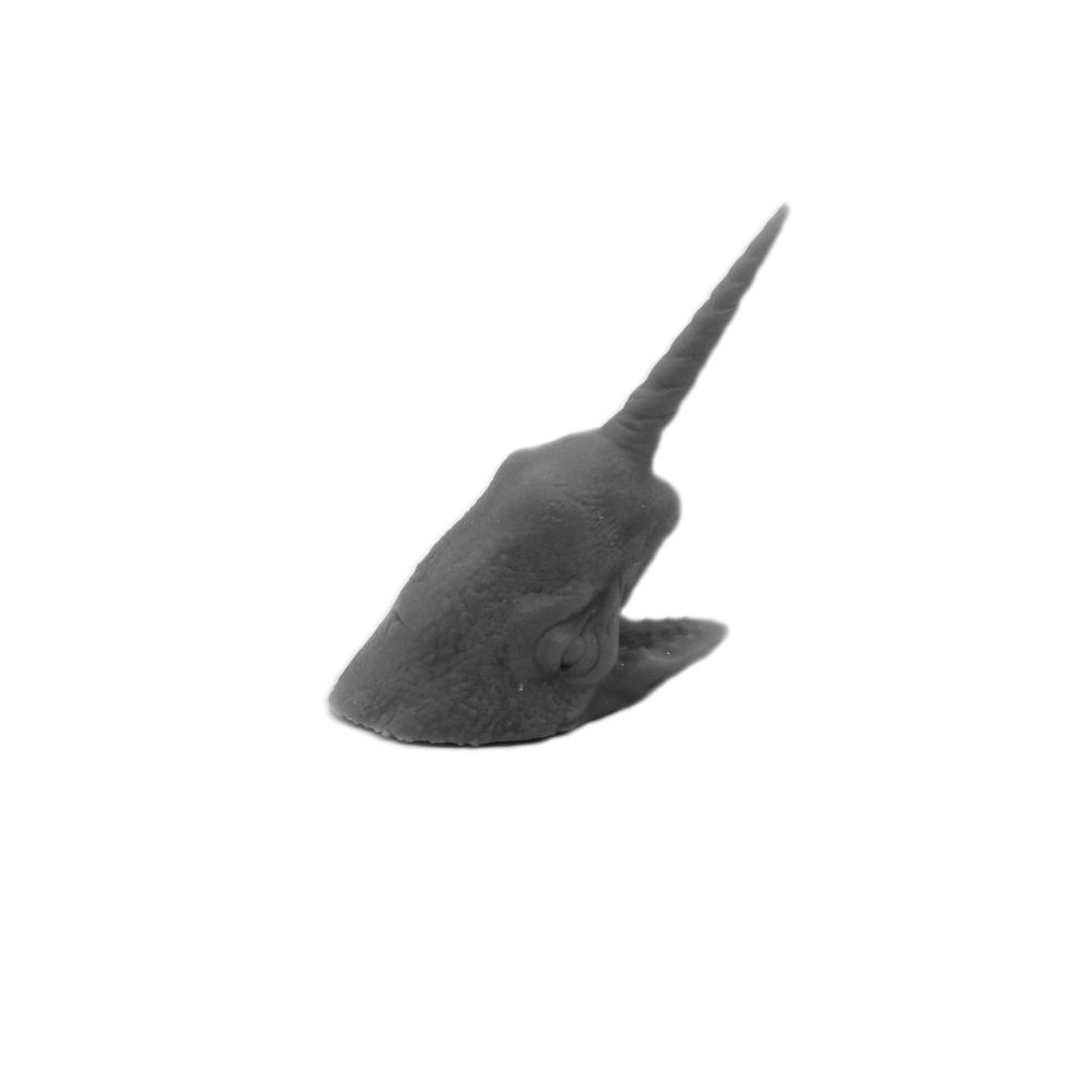 Narwhal - UNPAINTED