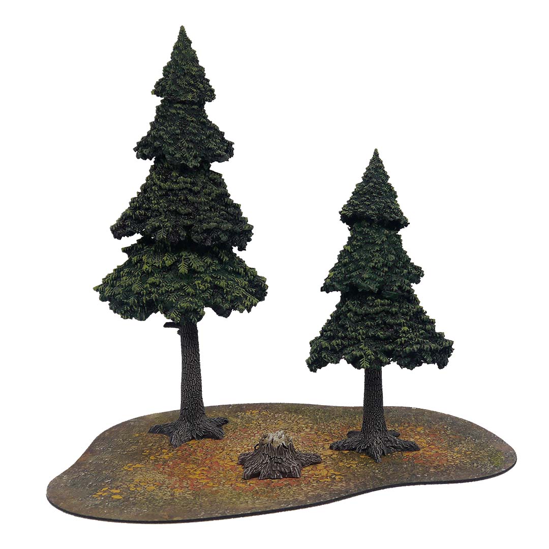 Evergreen Pine Forest