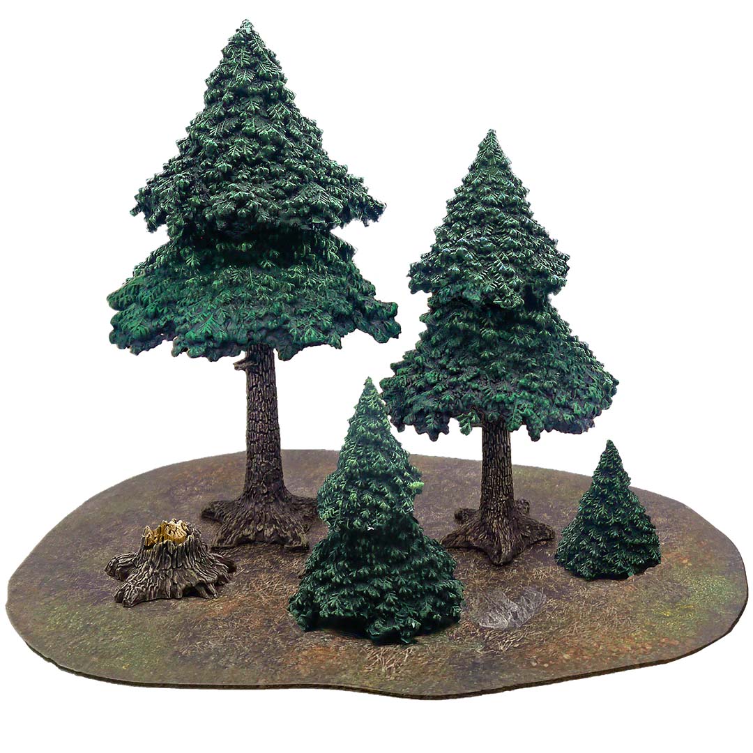 Evergreen Pine Forest
